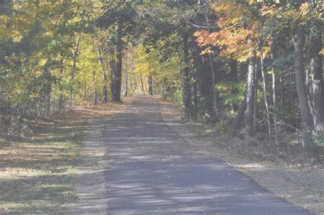 Foggy Autumn Path Free Stock Photo - Public Domain Pictures