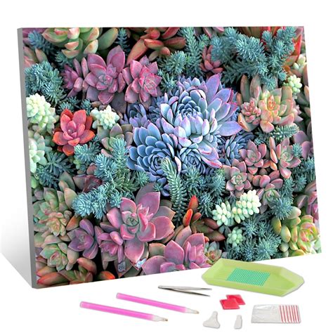 TISHIRON Diamond Art Painting Kits,12x16 inch 5D DIY Succulents Diamond ...