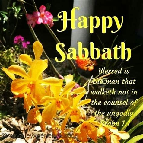 Pin by Ginger Blossom on Happy Sabbath | Happy sabbath, Happy sabbath ...