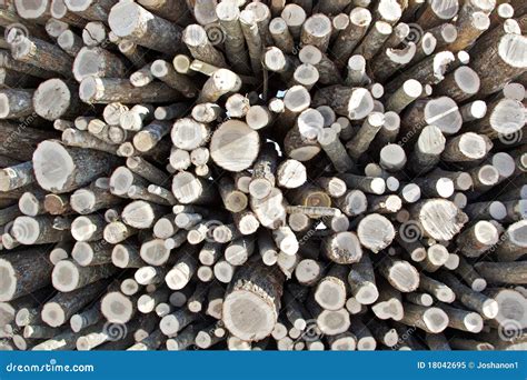 Bundle of Firewood stock image. Image of large, circular - 18042695