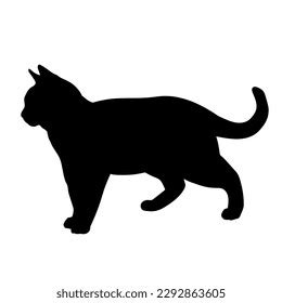 Cat Silhouette Side View Standing Breeds Stock Vector (Royalty Free ...