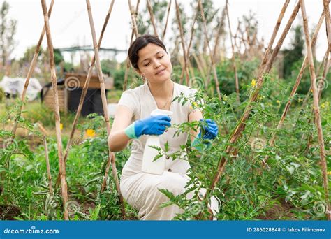 Young Woman Works with Garden Spray in Yard. Treatment of Plants with Insecticides Stock Photo ...