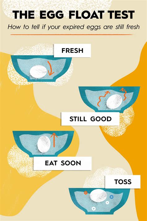 3 Simple Tests to Determine if Your Eggs Have Gone Bad