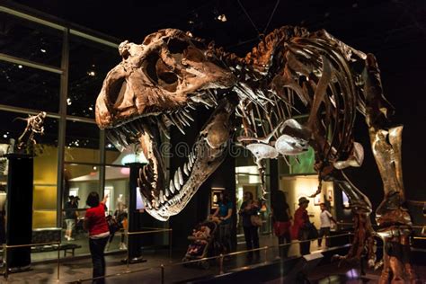 Dinosaur Exhibits at Royal Tyrrell Museum in Drumheller, Canada Editorial Stock Image - Image of ...