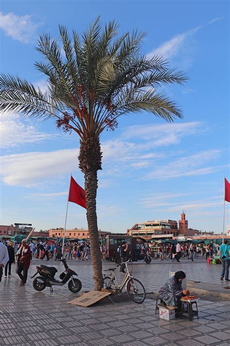 Exploring the marrakesh medina – Artofit