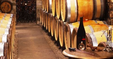 Burgundy Wine Tours | Extensive Burgundy | Grape Escapes