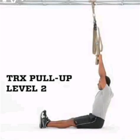 TRX Pull Up Level 2 by Alex 🌊. - Exercise How-to - Skimble