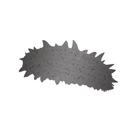 Sea Cucumber PNG Picture, Sea Cucumber Detail Page Cartoon Sketch ...