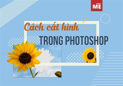 Hướng dẫn cách cắt ảnh theo hình trái tim trong photoshop cho những ai mới bắt đầu học photoshop