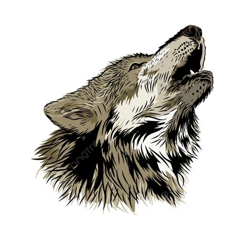 Imágenes Prediseñadas De Lobo Aullando PNG ,dibujos Aullando, Lobo ...