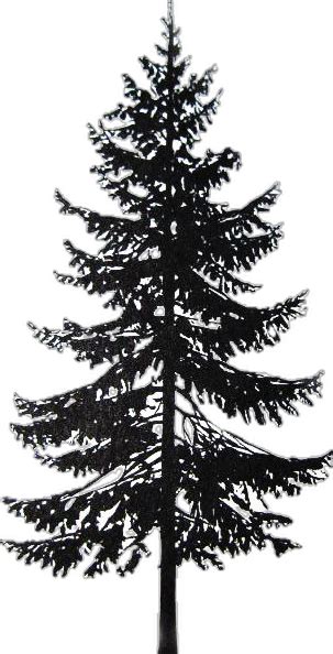 Norway spruce | Tree silhouette tattoo, Pine tree drawing, Tree tattoo drawings