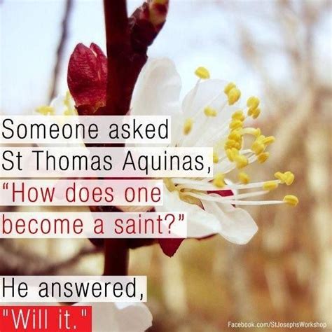 St Thomas Aquinas Quotes On Love. QuotesGram