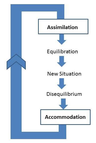 Schema Theory Piaget