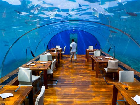 Indulge in Luxurious Ithaa Underwater Restaurant in Maldives | The ...