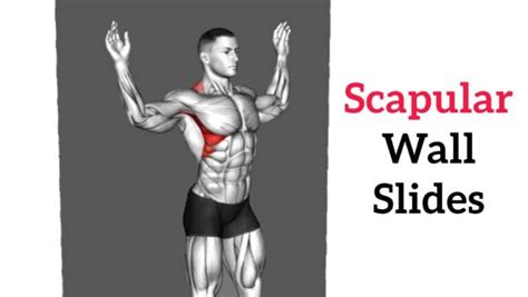 Scapular Wall Slides: Improve Shoulder and Back Mobility