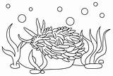 20  Sea Slug Coloring Pages Free Printable PDF & Online sketch template