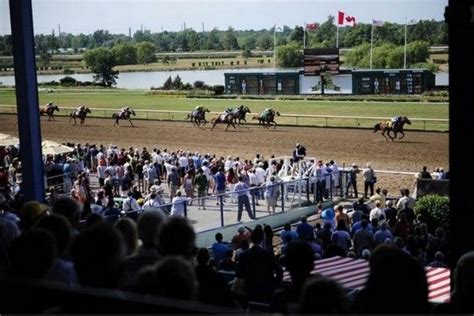 Ontario Horse Racing: Racing to Continue at Fort Erie Race Track | Horse racing, Race track, Horses