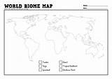 Printable Biome Worksheets  Word Searches sketch template