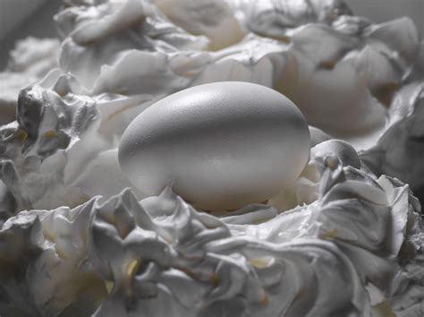 goose's egg on Behance