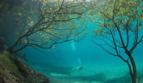 This Beautiful Austrian Lake Turns Into An Underwater Park Every Summer - Secretnyc