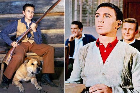 Tommy Kirk, ‘Old Yeller’ star, found dead at his Vegas home