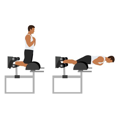 Man doing glute ham raise exercise. Glute Ham Developer Back Extension. 26751954 Vector Art at ...