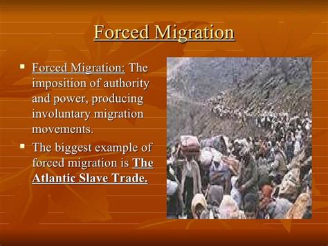 Migration 8