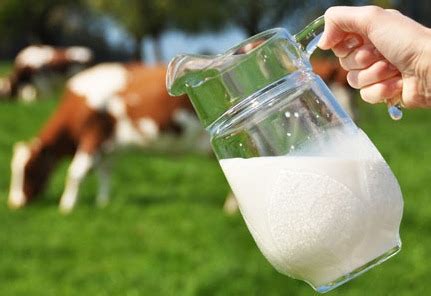 Fresh And Healthy Cow Milk at Best Price in Sangli | Sampatrao Deshmukh Co-op Milk Union Ltd.
