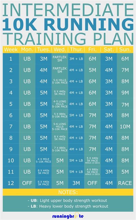 Running a 10k is an impressive feat of endurance, strength, and perseverance. Check out this ...