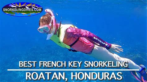 Best French Key Snorkeling | Roatan - La Vie Zine