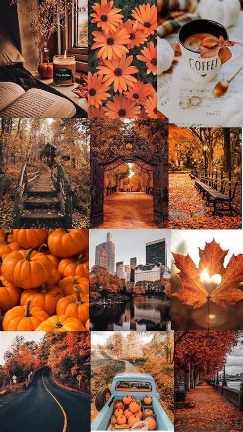 Autumn Backgrounds