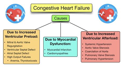 Congestive Heart Failure: Symptoms, Stages, Treatment, Diagnosis, Prognosis, Medications — EZmed