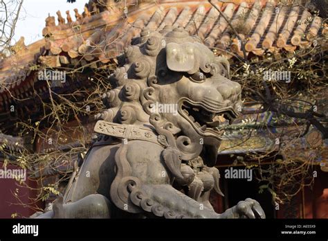 Lion Statue in front of Lama Temple, the most famous Tibetan Buddhist ...