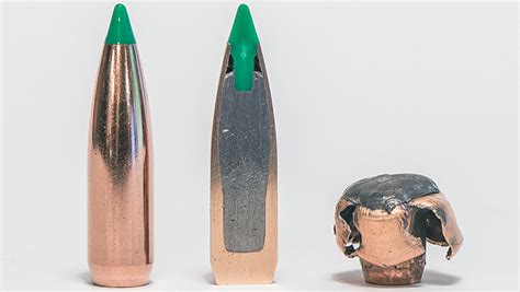 Rifle Ammunition 101: Exploring the Different Types and Their Uses ...