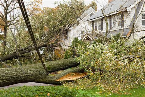 How To Keep Your Family and Your Home Safe During High Winds | Family ...