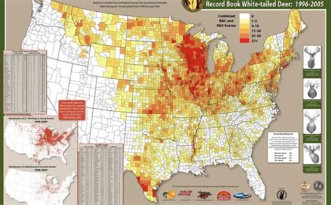 Whitetails and Topography-The Unfair Advantage | Whitetail Habitat ...