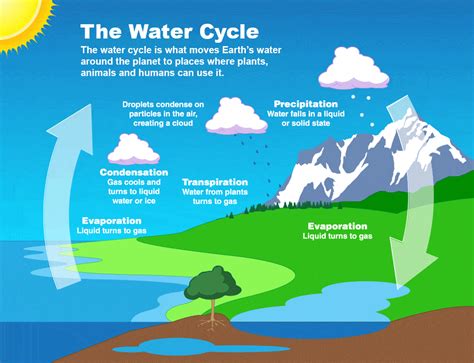 Water Cycle – Green Heart STEM Challenge