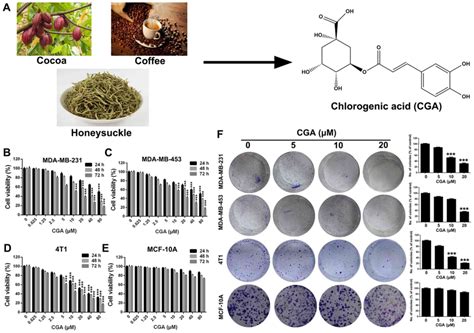 Chlorogenic acid induces apoptosis, inhibits metastasis and improves antitumor immunity in ...