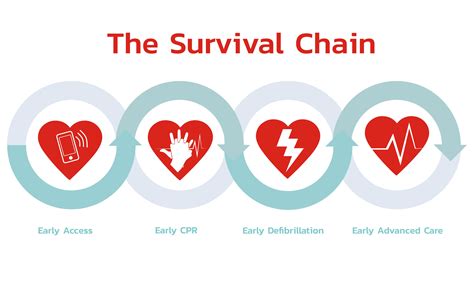 Chain of Survival Cpr