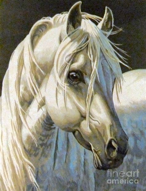 white Arabian Painting by Audrey Van Tassell - Fine Art America