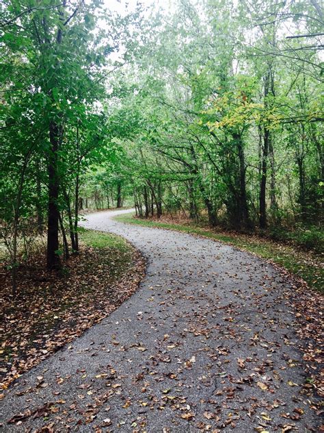 Tanyard Creek - Cindy Goes Beyond