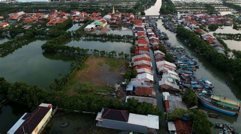 Perbedaan Banjir dan Rob: Pengertian, Penyebab dan Cara Mengantisipasinya