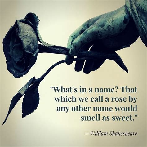 "Whats in a name? That which we call a rose by any other name would smell as sweet." - William ...