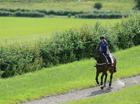 Taking your horse to the gallops | Horse and Rider