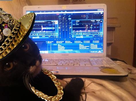 DJ Cat Bling Blank Template - Imgflip