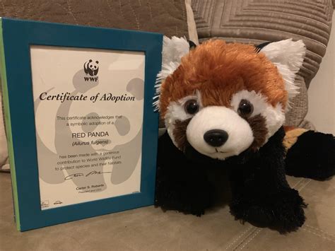 Wwf Adoption Certificate