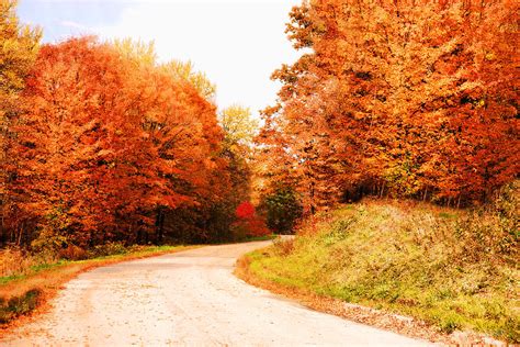 Trails of Wisconsin Woodlands Photograph by Donna Swiecichowski | Fine Art America