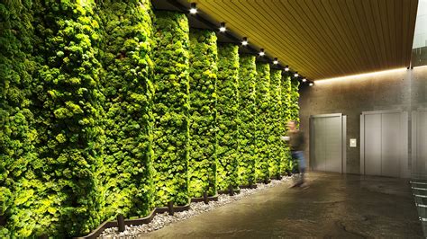 Biophilic Hotel Design | Quiet Earth Moss