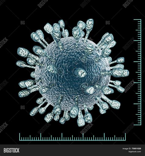 Virus Under Microscope Image & Photo (Free Trial) | Bigstock