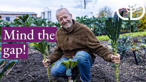 Spacing Details for Vegetables|| Charles Dowding - YouTube